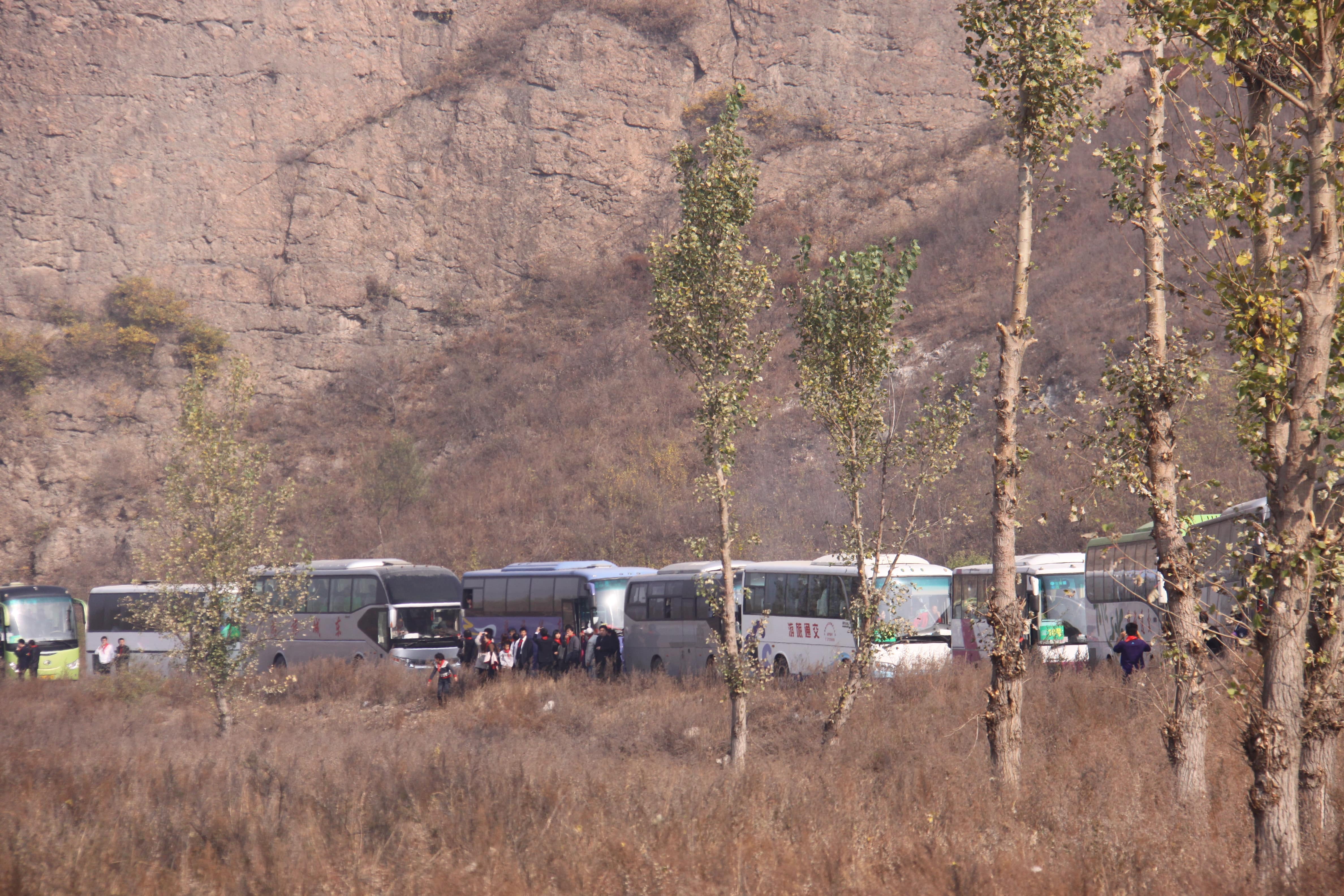 第21所 葫芦岛市大庙沟九州官方网站平台（中国）官方网站张越小学