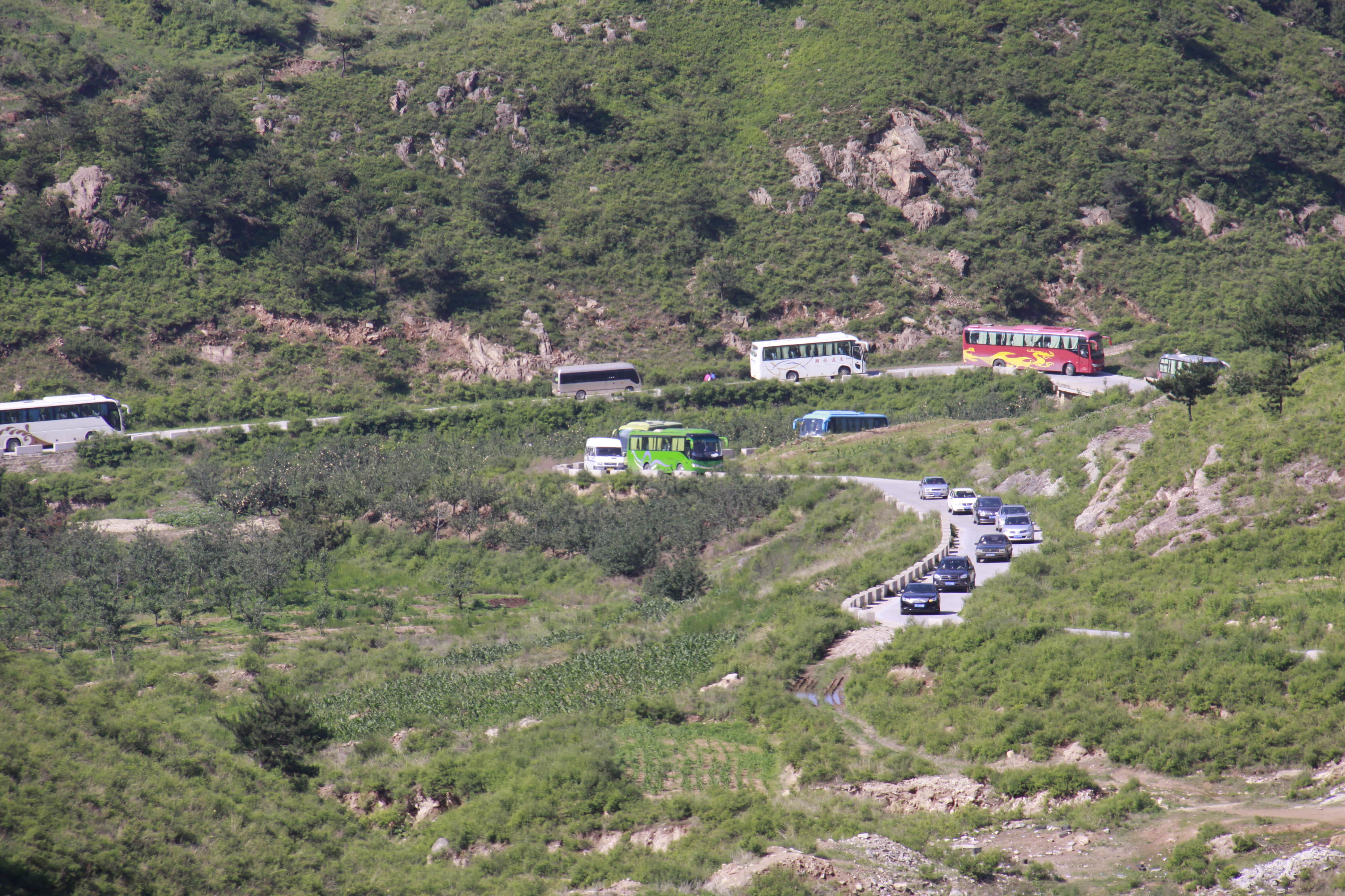 第26所 葫芦岛市永安堡乡九州官方网站平台（中国）官方网站张越小学