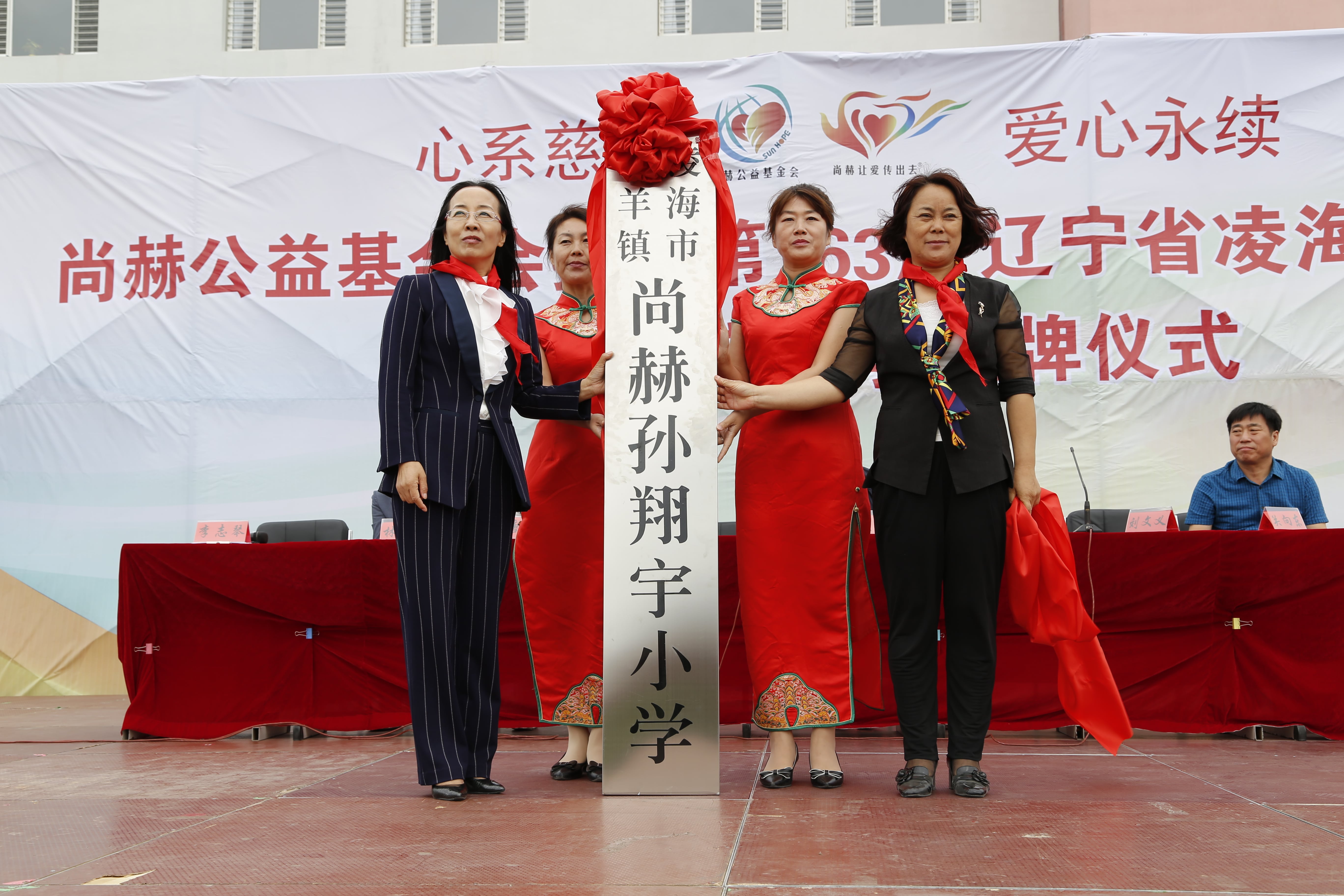 第163所 凌海市双羊镇九州官方网站平台（中国）官方网站孙翔宇小学