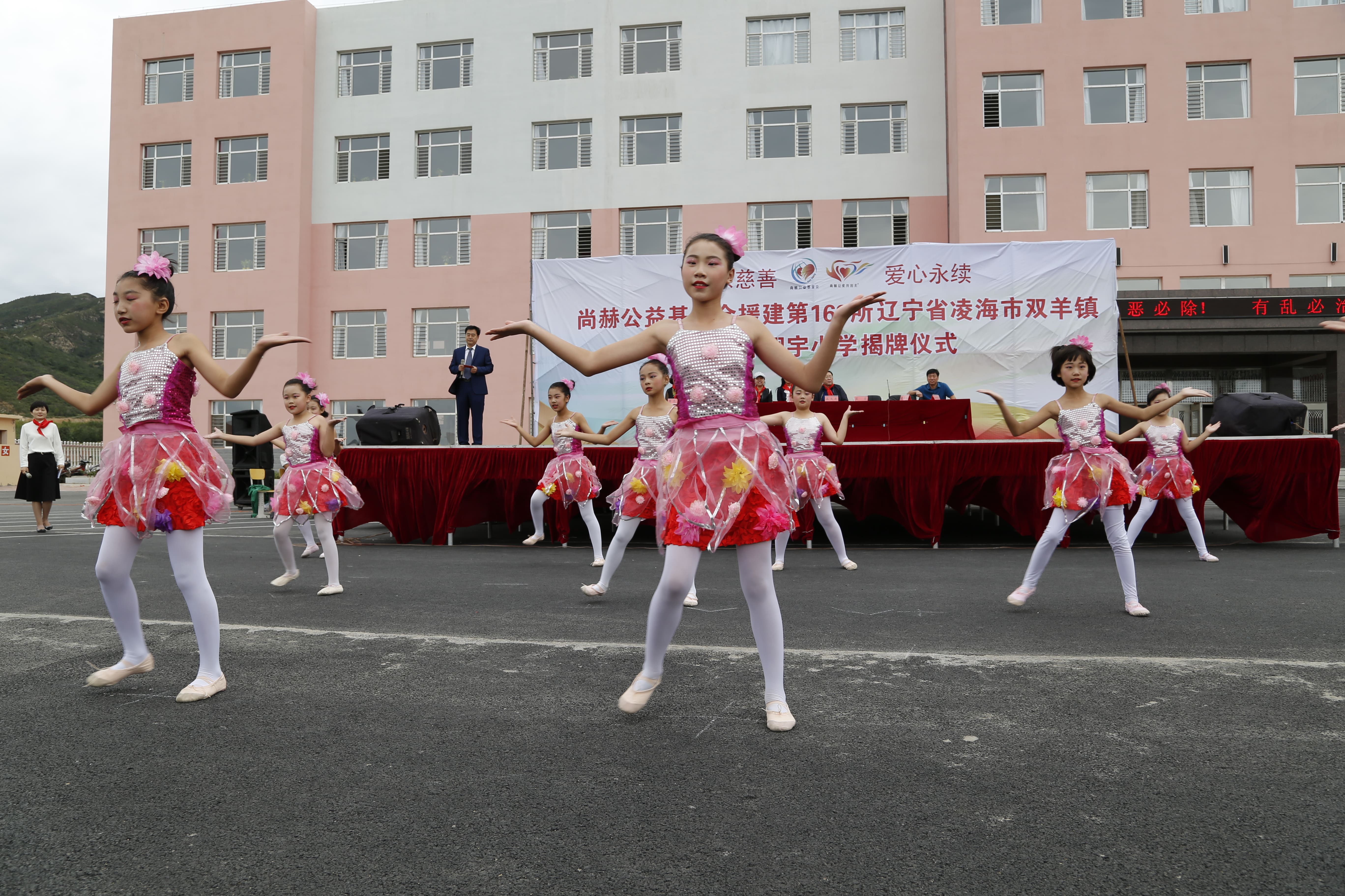 第163所 凌海市双羊镇九州官方网站平台（中国）官方网站孙翔宇小学