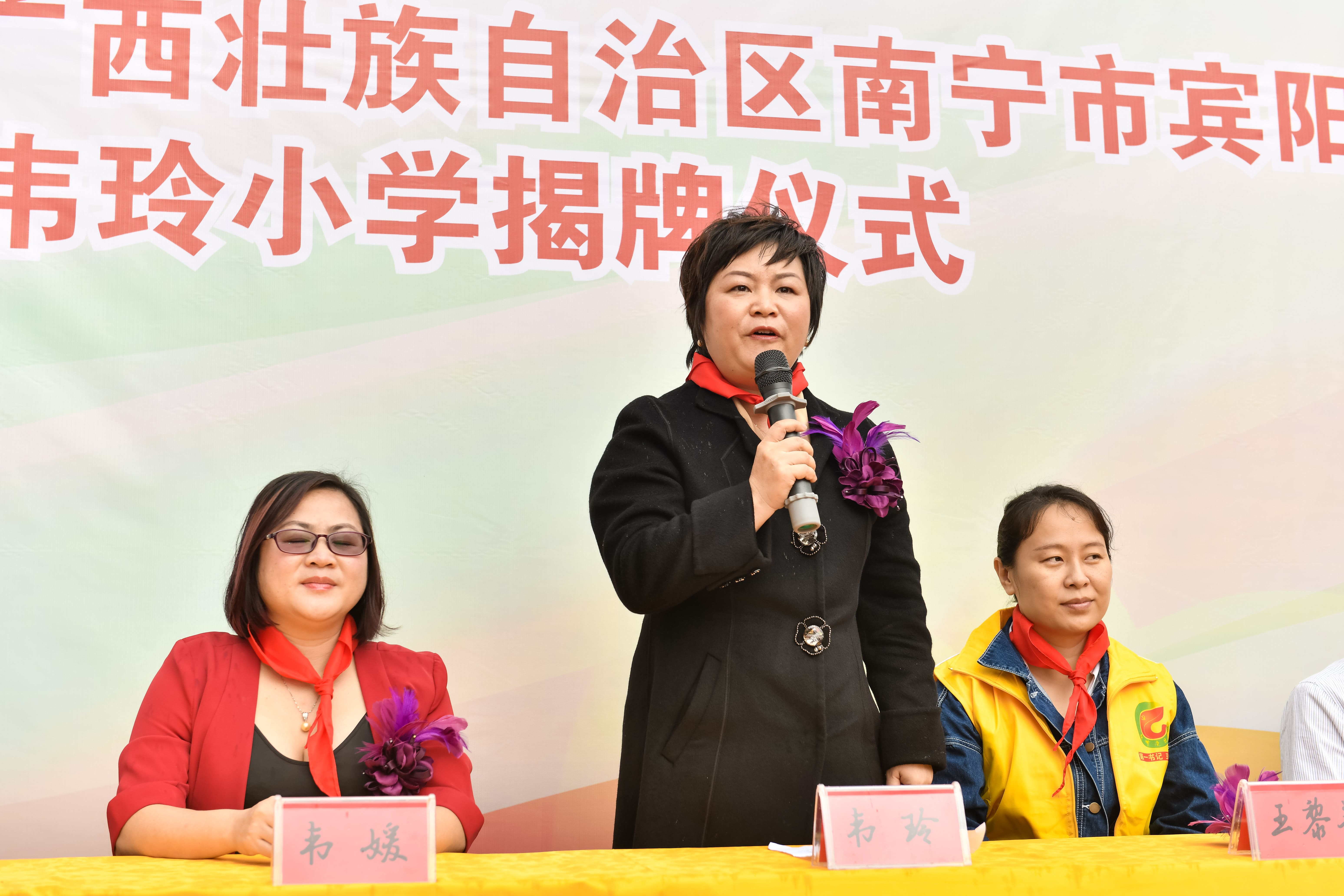 第184所  南宁市宾阳县思陇镇昆仑村九州官方网站平台（中国）官方网站韦玲小学