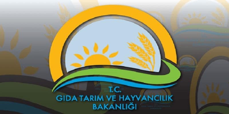Köfte Diye Yediğimiz Aslında Ne? Bu Gıdalara Dikkat!