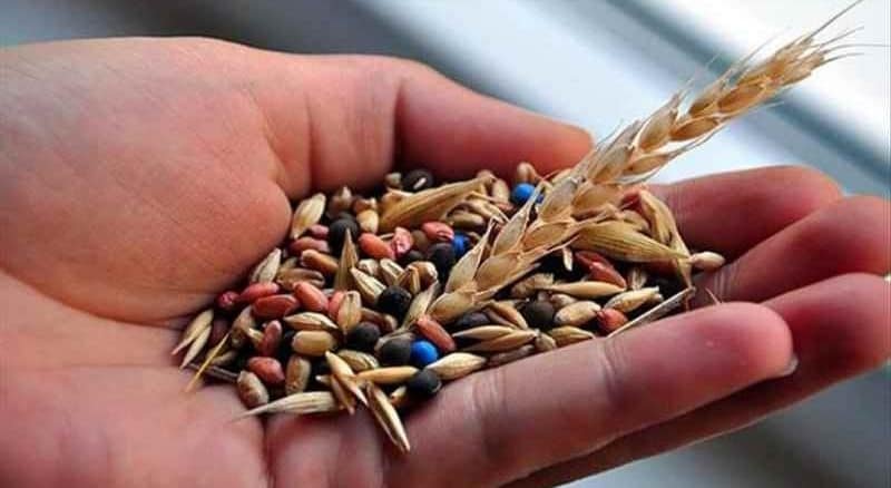 Türkiye İthalat ve İhracatında Bir Rekor Daha!